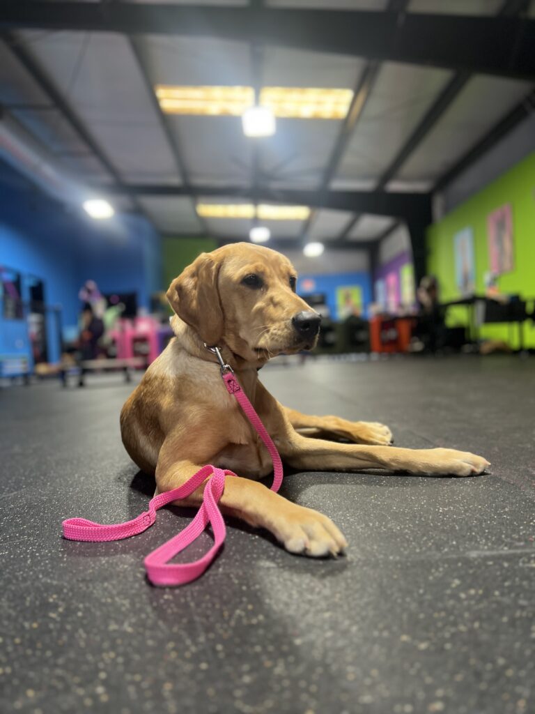 0f9a8606 81cf 4bb9 aaba 8386986c2dfc