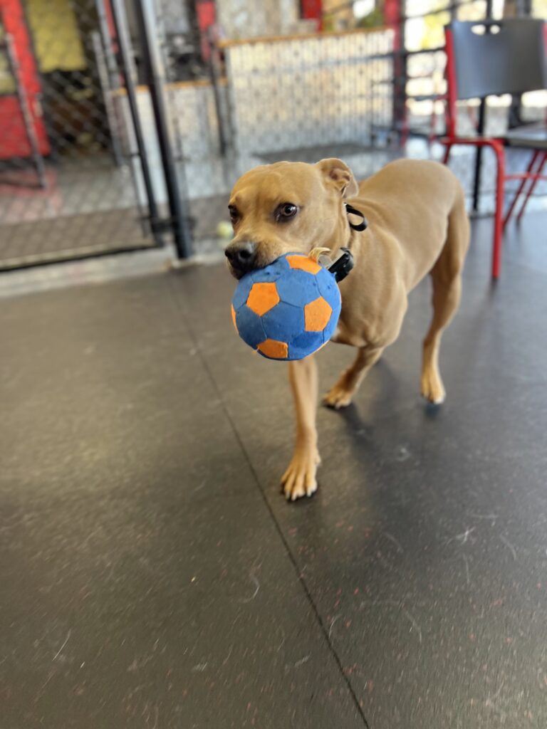 8d451ece b1e0 4d23 a87b 4baf787ec69d