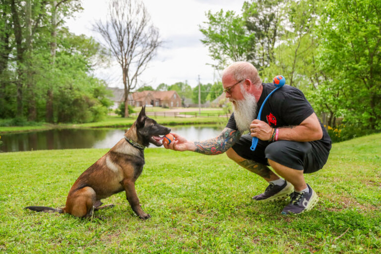 puppy training